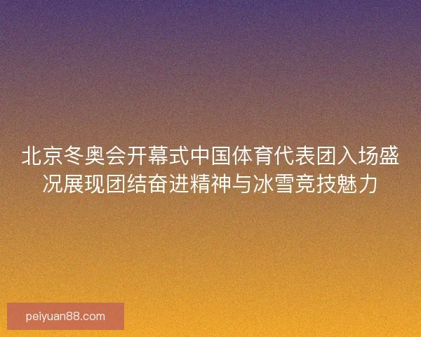 北京冬奥会开幕式中国体育代表团入场盛况展现团结奋进精神与冰雪竞技魅力 北京冬奥会开幕式中国体育代表团入场盛况展现团结奋进精神与冰雪竞技魅力