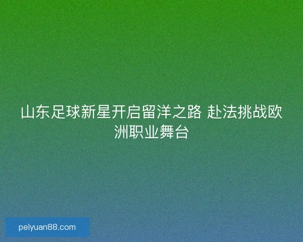 山东足球新星开启留洋之路 赴法挑战欧洲职业舞台