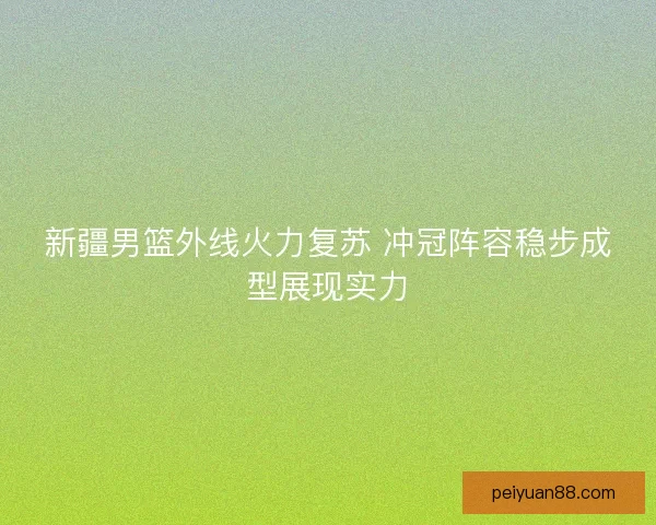 新疆男篮外线火力复苏 冲冠阵容稳步成型展现实力 新疆男篮外线火力复苏 冲冠阵容稳步成型展现实力