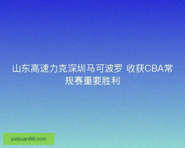 山东高速力克深圳马可波罗 收获CBA常规赛重要胜利